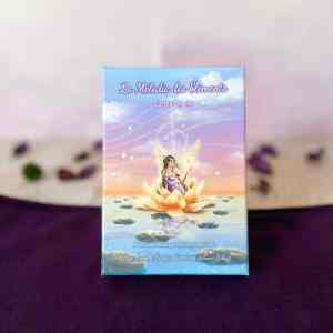 oracle la mélodie des éléments